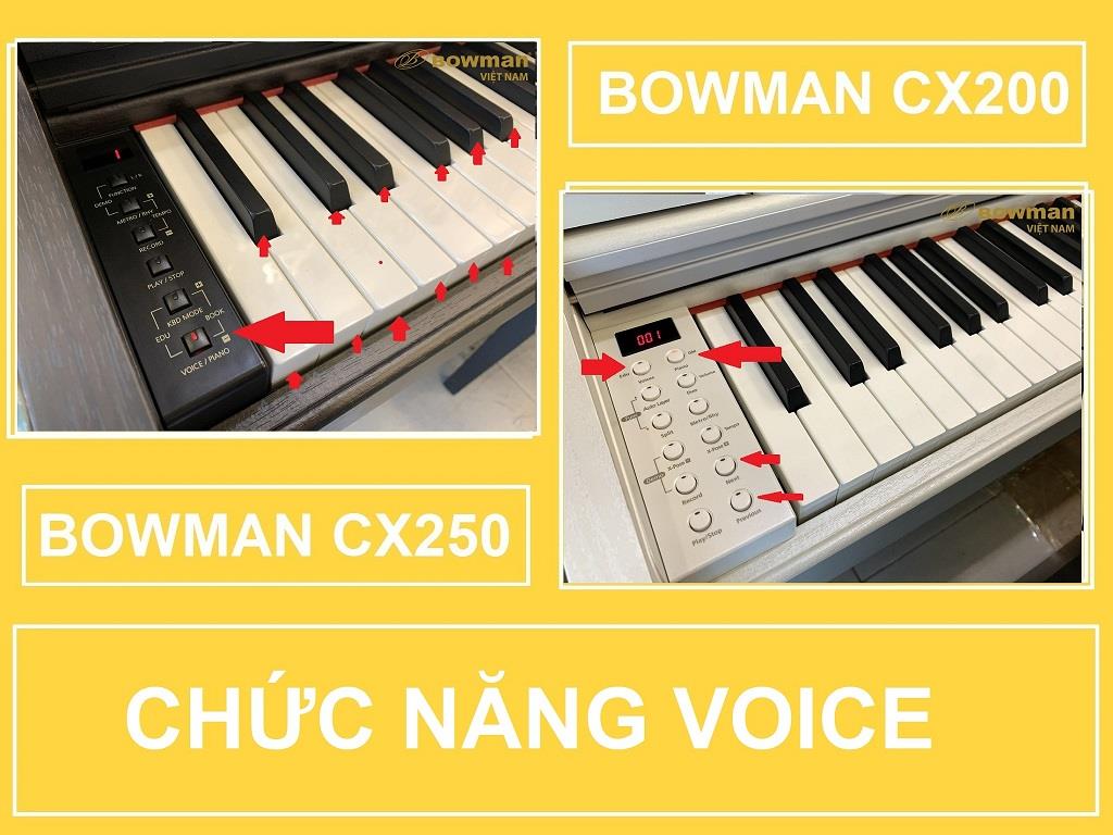 GIỚI THIỆU chức năng VOICE trên Piano BOWMAN CX200 CX250